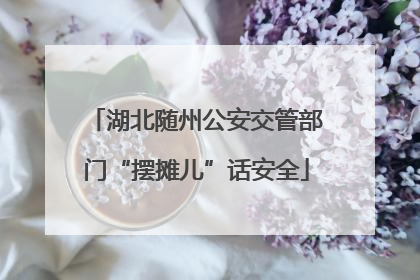 湖北随州公安交管部门“摆摊儿”话安全
