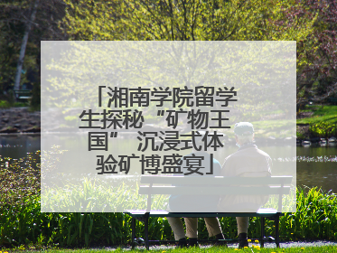 湘南学院留学生探秘“矿物王国” 沉浸式体验矿博盛宴