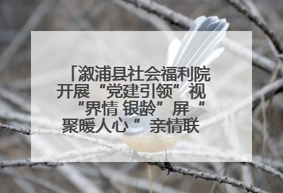 溆浦县社会福利院开展“党建引领”视“界情 银龄”屏“聚暖人心 ”亲情联动服务工作