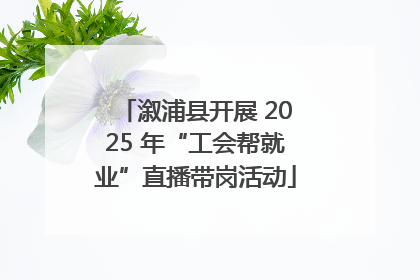 溆浦县开展 2025 年“工会帮就业”直播带岗活动