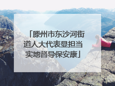 滕州市东沙河街道人大代表显担当实地督导保安康