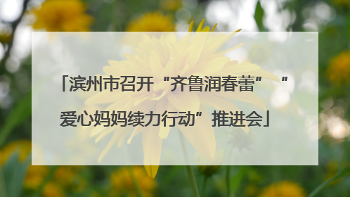 滨州市召开“齐鲁润春蕾”“爱心妈妈续力行动”推进会