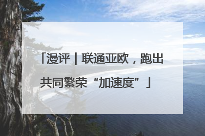 漫评｜联通亚欧，跑出共同繁荣“加速度”