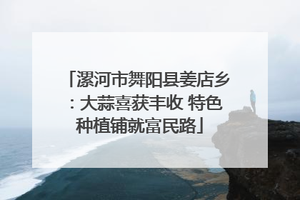 漯河市舞阳县姜店乡：大蒜喜获丰收 特色种植铺就富民路