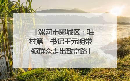 漯河市郾城区：驻村第一书记王元明带领群众走出致富路