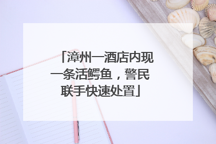 漳州一酒店内现一条活鳄鱼，警民联手快速处置