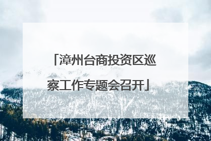 漳州台商投资区巡察工作专题会召开