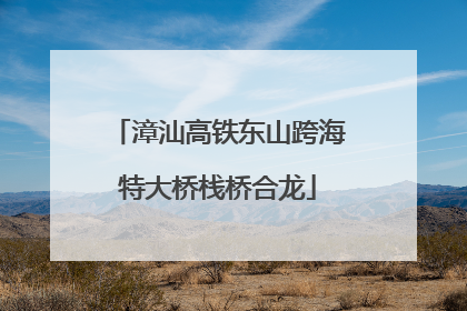 漳汕高铁东山跨海特大桥栈桥合龙