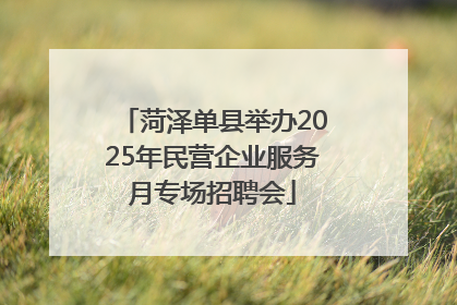菏泽单县举办2025年民营企业服务月专场招聘会