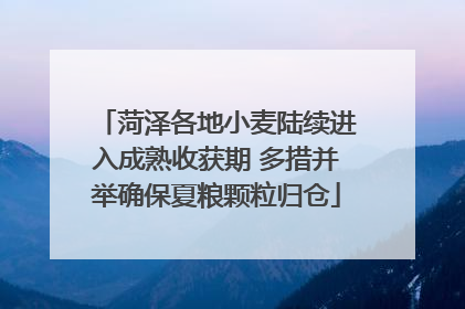 菏泽各地小麦陆续进入成熟收获期 多措并举确保夏粮颗粒归仓