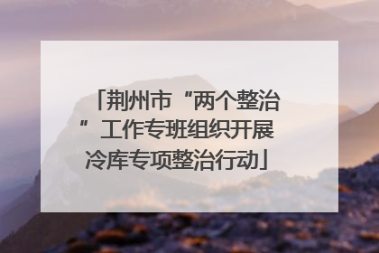 荆州市“两个整治”工作专班组织开展冷库专项整治行动