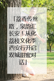 荔香传丝路，泉韵汇长安！从化荔枝文化季西安行开启双城甜蜜对话