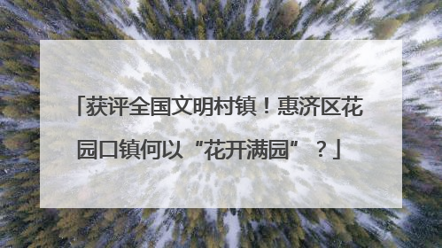 获评全国文明村镇！惠济区花园口镇何以“花开满园”？