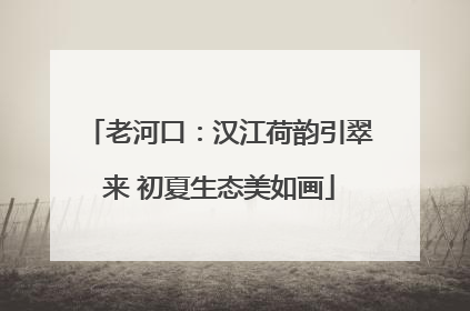 老河口：汉江荷韵引翠来 初夏生态美如画