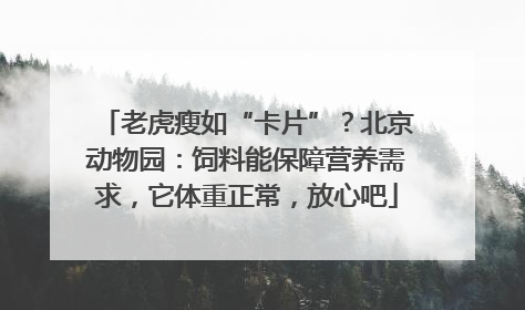 老虎瘦如“卡片”？北京动物园：饲料能保障营养需求，它体重正常，放心吧