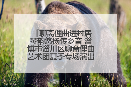 聊斋俚曲进村居 琴韵悠扬传乡音 淄博市淄川区聊斋俚曲艺术团夏季专场演出在杏园子村举行