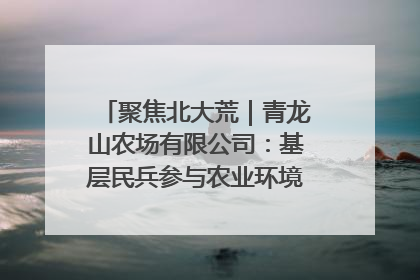 聚焦北大荒｜青龙山农场有限公司：基层民兵参与农业环境综合治理显效