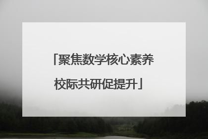 聚焦数学核心素养 校际共研促提升