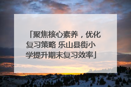 聚焦核心素养，优化复习策略 乐山县街小学提升期末复习效率