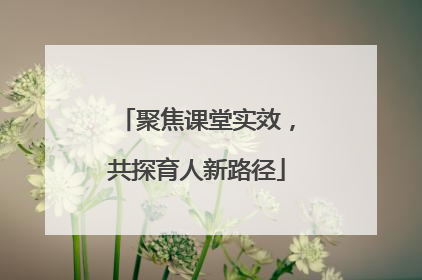 聚焦课堂实效，共探育人新路径