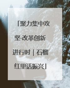 聚力集中攻坚·改革创新进行时｜石榴红里话振兴