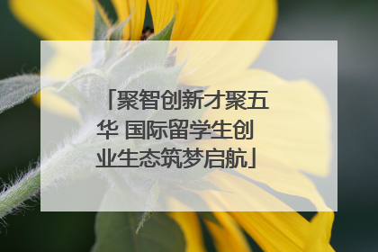 聚智创新才聚五华 国际留学生创业生态筑梦启航