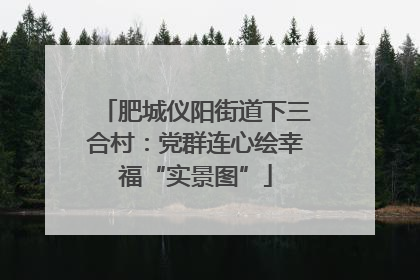肥城仪阳街道下三合村：党群连心绘幸福“实景图”