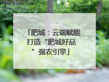 肥城：云端赋能 打造“肥城好品”强农引擎