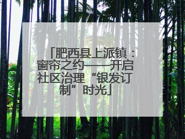 肥西县上派镇：窗帘之约——开启社区治理“银发订制”时光