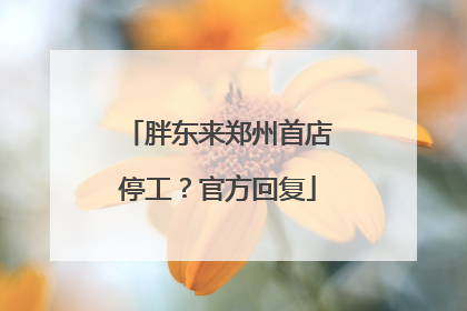 胖东来郑州首店停工？官方回复