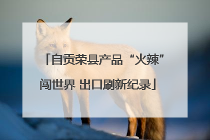 自贡荣县产品“火辣”闯世界 出口刷新纪录