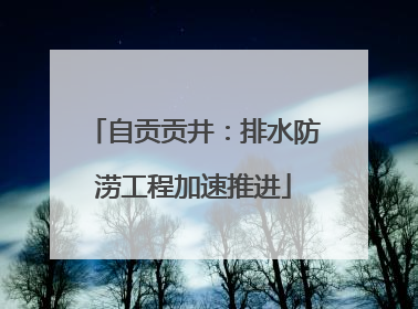 自贡贡井：排水防涝工程加速推进