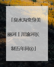 臭水沟变身美丽河丨川渝河长制五年间④