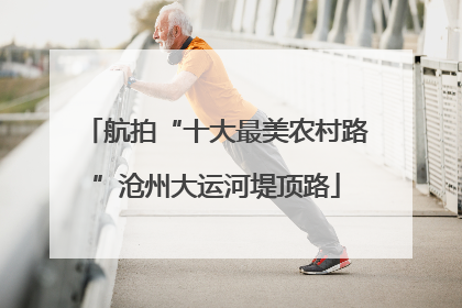 航拍“十大最美农村路”沧州大运河堤顶路