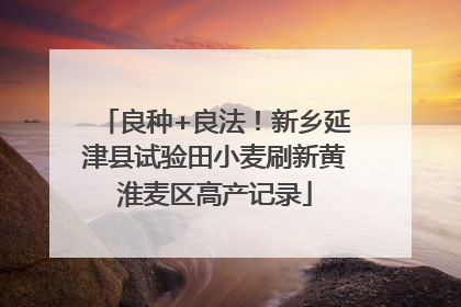 良种+良法！新乡延津县试验田小麦刷新黄淮麦区高产记录