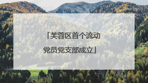 芙蓉区首个流动党员党支部成立