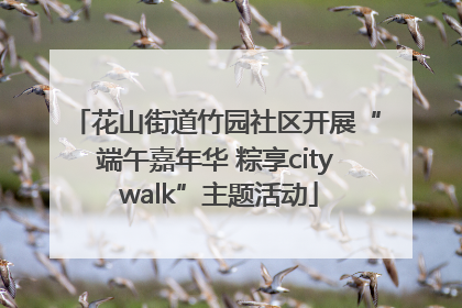 花山街道竹园社区开展“端午嘉年华 粽享city walk”主题活动