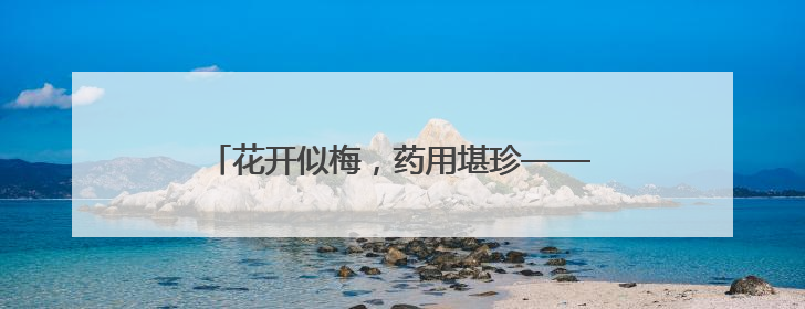 花开似梅，药用堪珍——走进榆叶梅的诗意世界