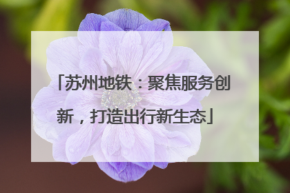 苏州地铁：聚焦服务创新，打造出行新生态