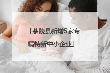 茶陵县新增5家专精特新中小企业