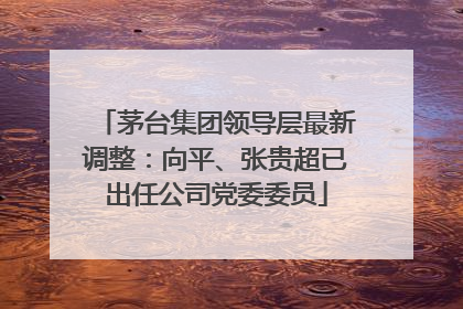 茅台集团领导层最新调整：向平、张贵超已出任公司党委委员