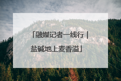 融媒记者一线行｜盐碱地上麦香溢