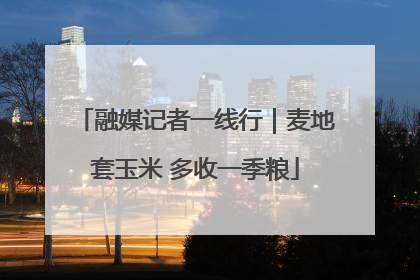 融媒记者一线行｜麦地套玉米 多收一季粮