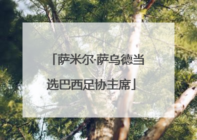 萨米尔·萨乌德当选巴西足协主席