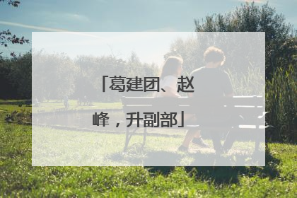 葛建团、赵峰，升副部