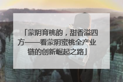 蒙阴育桃韵，甜香溢四方——看蒙阴蜜桃全产业链的创新崛起之路