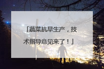 蔬菜抗旱生产，技术指导意见来了！