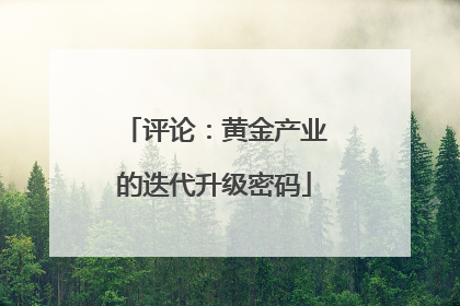 评论：黄金产业的迭代升级密码