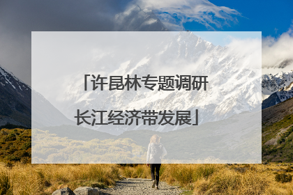许昆林专题调研长江经济带发展