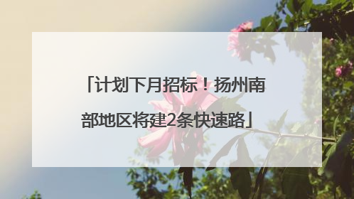 计划下月招标！扬州南部地区将建2条快速路